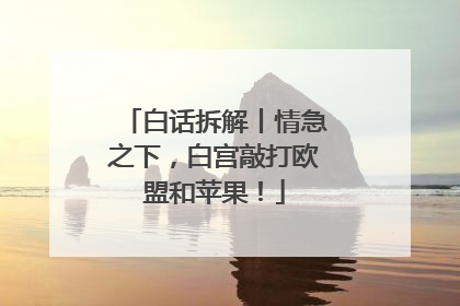 白话拆解丨情急之下，白宫敲打欧盟和苹果！