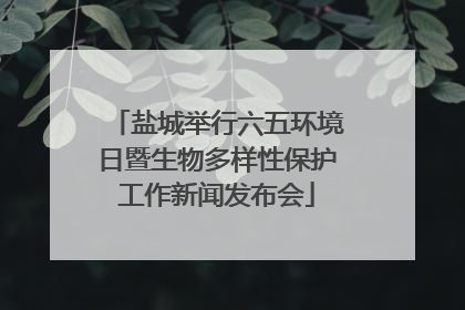 盐城举行六五环境日暨生物多样性保护工作新闻发布会