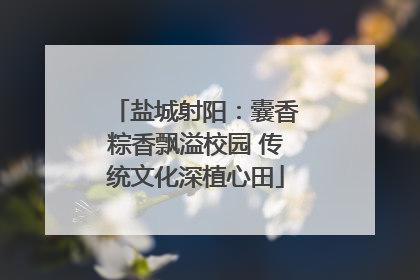 盐城射阳：囊香粽香飘溢校园 传统文化深植心田