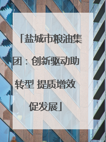 盐城市粮油集团：创新驱动助转型 提质增效促发展