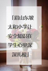 眉山东坡太和小学让安全知识在学生心里深深扎根