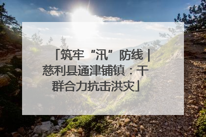 筑牢“汛”防线｜慈利县通津铺镇：干群合力抗击洪灾
