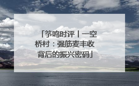 筝鸣时评丨一空桥村：强筋麦丰收背后的振兴密码