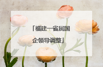 福建一省属国企领导调整