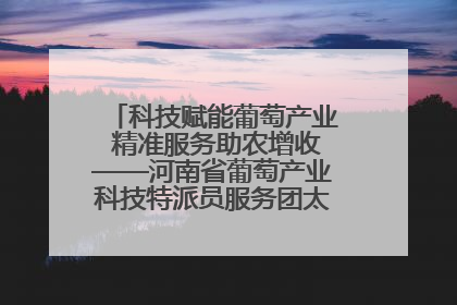 科技赋能葡萄产业 精准服务助农增收——河南省葡萄产业科技特派员服务团太康县科技服务纪实