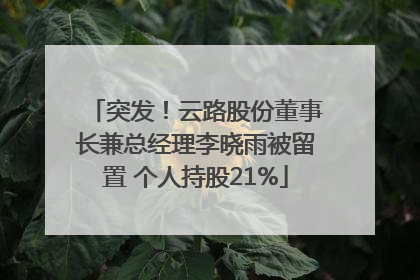 突发！云路股份董事长兼总经理李晓雨被留置 个人持股21%