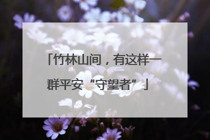 竹林山间，有这样一群平安“守望者”