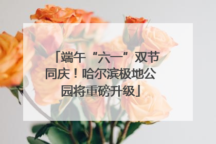 端午“六一”双节同庆！哈尔滨极地公园将重磅升级