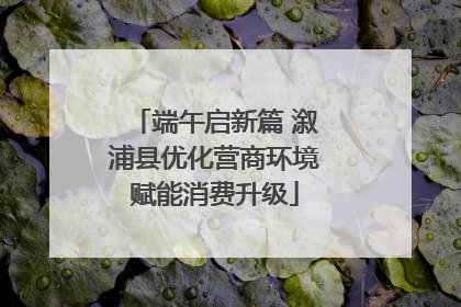 端午启新篇 溆浦县优化营商环境赋能消费升级