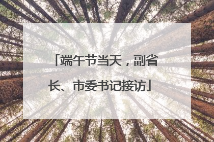 端午节当天，副省长、市委书记接访