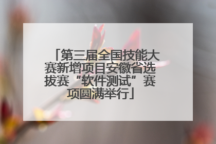第三届全国技能大赛新增项目安徽省选拔赛“软件测试”赛项圆满举行