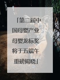 第二届中国母婴产业母婴龙标奖将于五端午重磅揭晓
