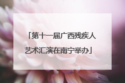 第十一届广西残疾人艺术汇演在南宁举办