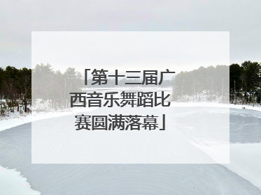第十三届广西音乐舞蹈比赛圆满落幕