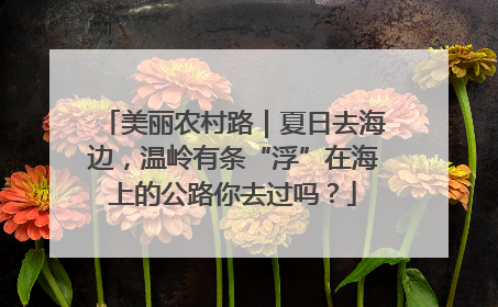 美丽农村路｜夏日去海边，温岭有条“浮”在海上的公路你去过吗？