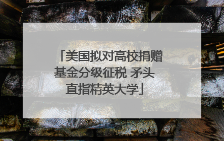 美国拟对高校捐赠基金分级征税 矛头直指精英大学