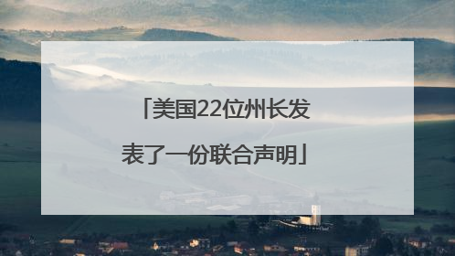 美国22位州长发表了一份联合声明
