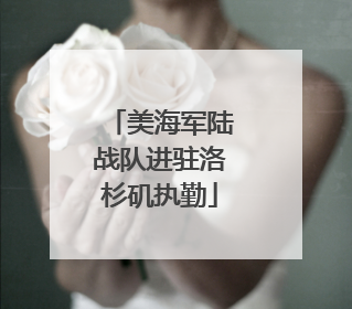 美海军陆战队进驻洛杉矶执勤