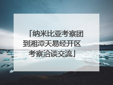 纳米比亚考察团到湘潭天易经开区考察洽谈交流