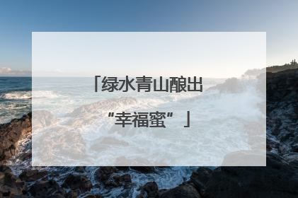 绿水青山酿出“幸福蜜”