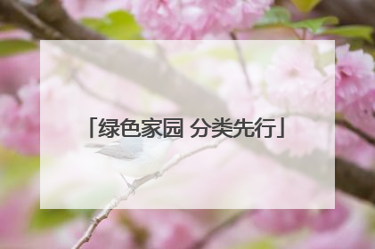 绿色家园 分类先行