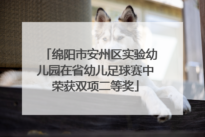 绵阳市安州区实验幼儿园在省幼儿足球赛中荣获双项二等奖