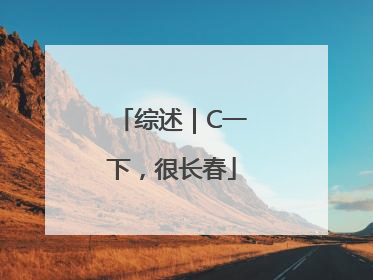 综述｜C一下，很长春