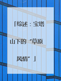 综述：宝塔山下的“草原风情”