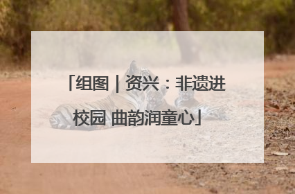 组图｜资兴：非遗进校园 曲韵润童心
