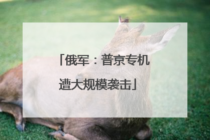 俄军：普京专机遭大规模袭击