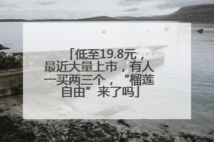 低至19.8元，最近大量上市，有人一买两三个，“榴莲自由”来了吗