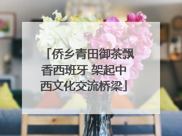 侨乡青田御茶飘香西班牙 架起中西文化交流桥梁