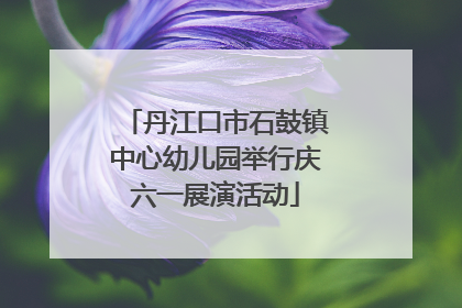 丹江口市石鼓镇中心幼儿园举行庆六一展演活动