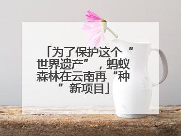 为了保护这个“世界遗产”，蚂蚁森林在云南再“种”新项目