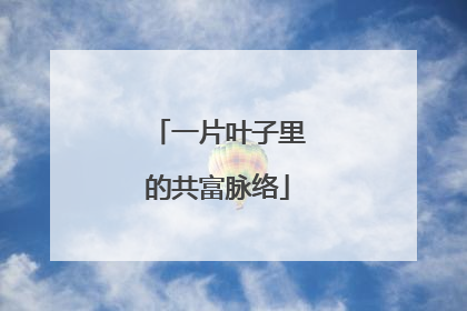 一片叶子里的共富脉络