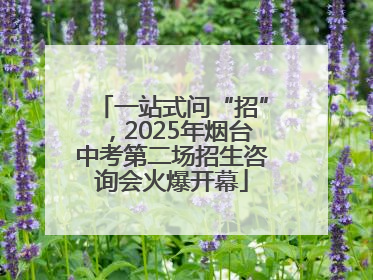 一站式问“招”，2025年烟台中考第二场招生咨询会火爆开幕