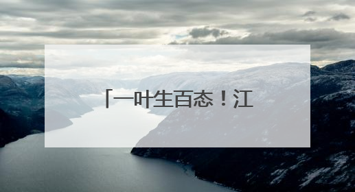 一叶生百态！江川棕编非遗里的“动物世界”
