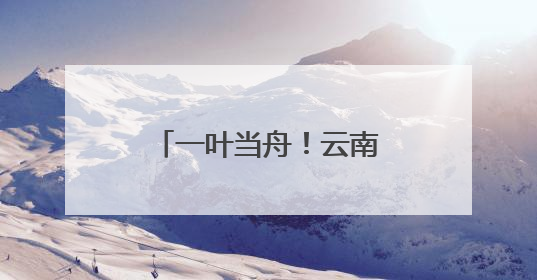 一叶当舟！云南这种神奇植物进入最佳观赏期