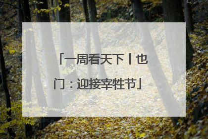 一周看天下丨也门：迎接宰牲节