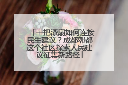 一把漆扇如何连接民生建议？成都郫都这个社区探索人民建议征集新路径