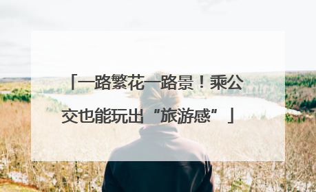 一路繁花一路景！乘公交也能玩出“旅游感”