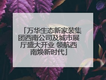 万华生态新家装集团西南公司及城市展厅盛大开业 领航西南焕新时代