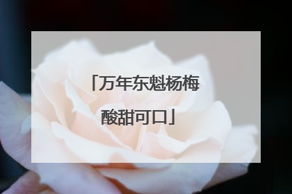 万年东魁杨梅 酸甜可口