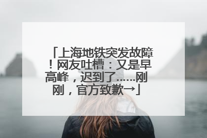 上海地铁突发故障！网友吐槽：又是早高峰，迟到了……刚刚，官方致歉→