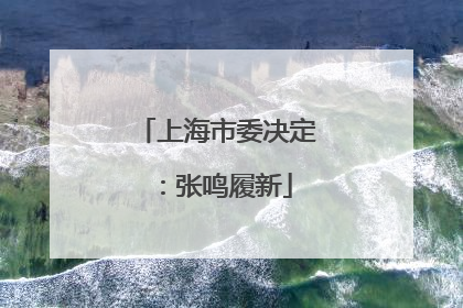 上海市委决定：张鸣履新