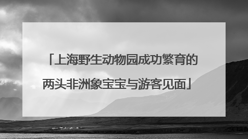 上海野生动物园成功繁育的两头非洲象宝宝与游客见面