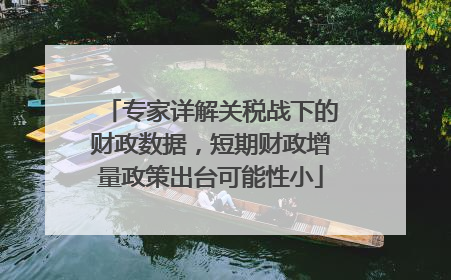 专家详解关税战下的财政数据，短期财政增量政策出台可能性小