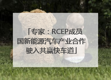 专家：RCEP成员国新能源汽车产业合作驶入共赢快车道