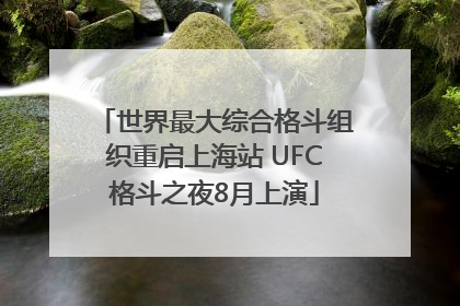世界最大综合格斗组织重启上海站 UFC格斗之夜8月上演