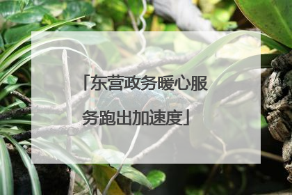 东营政务暖心服务跑出加速度